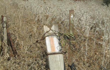 שביל עמק המעינות