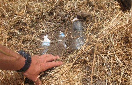 הָטְמָנוֹת או לא להיות