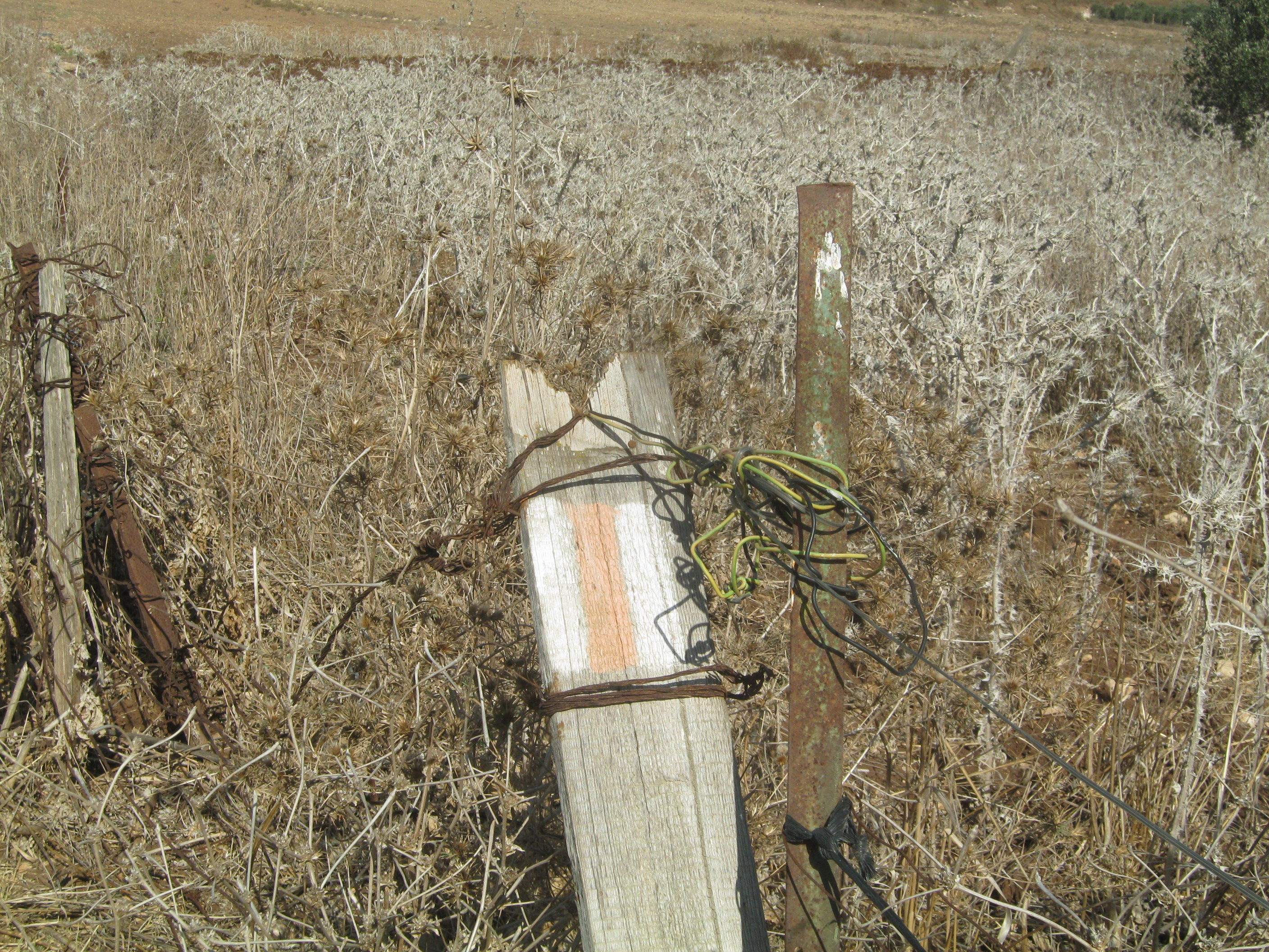 שביל עמק המעינות