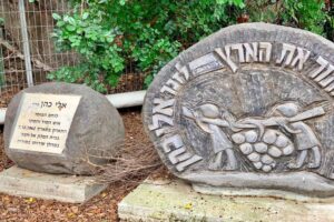 תמונה מתוך אתר למטייל